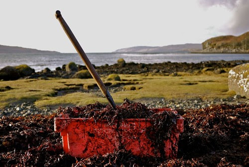 Argyll News: Ulva: the marriage of history, culture, school ...