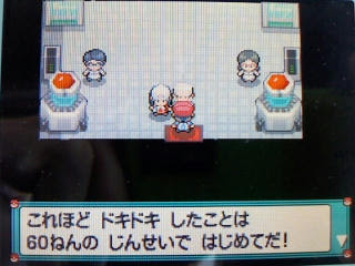 ポケモン プラチナ４１日目 ナギサシティ うさぎ愛好会 旧