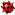 テントウムシ