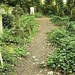 Path