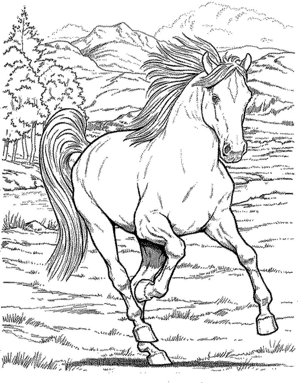 Horse Herd Coloring Pages at GetColorings.com | Free ...