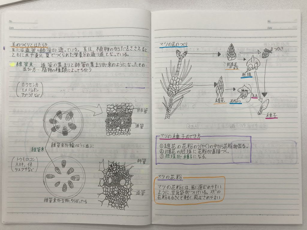 無料でダウンロード 英語 中 1 自学 ノート 簡単 風人
