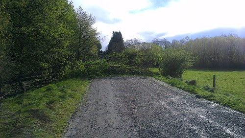 2013-09-14 - Wind damage - Fallen tree road blocked - 01