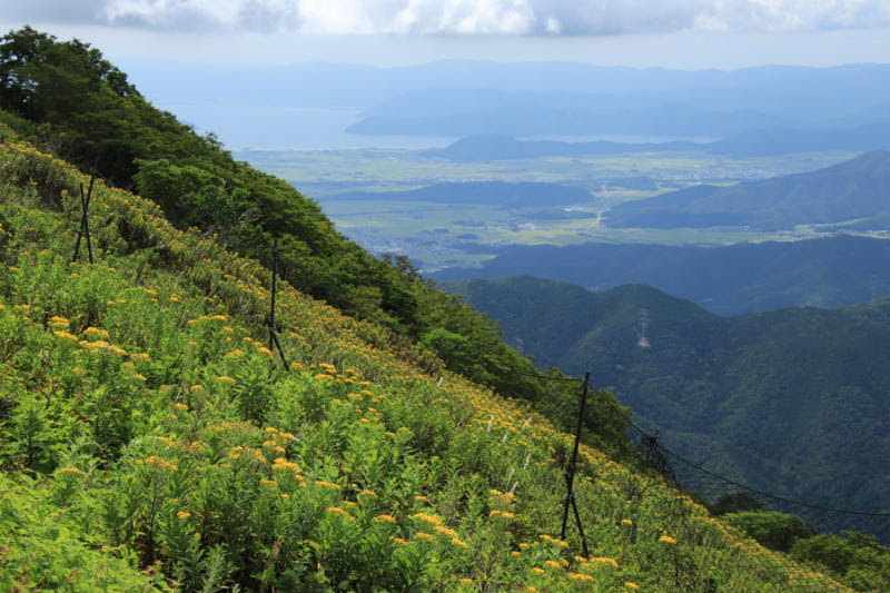 令和元年8月12日伊吹山dw 風景のかけらと伊吹山 草花と生き物と山旅と