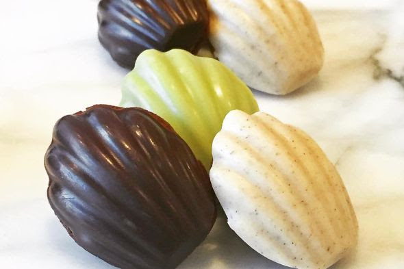 pumpkin spice toronto