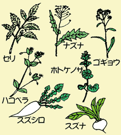 七草 ときたま日記