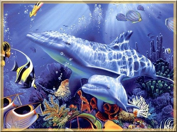 DAUPHINS