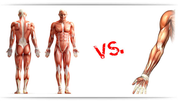 Full Body Workout Vs Split Routine In 2020 Which Is Better