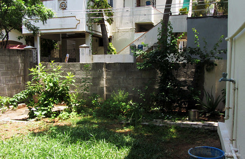 Our small backyard