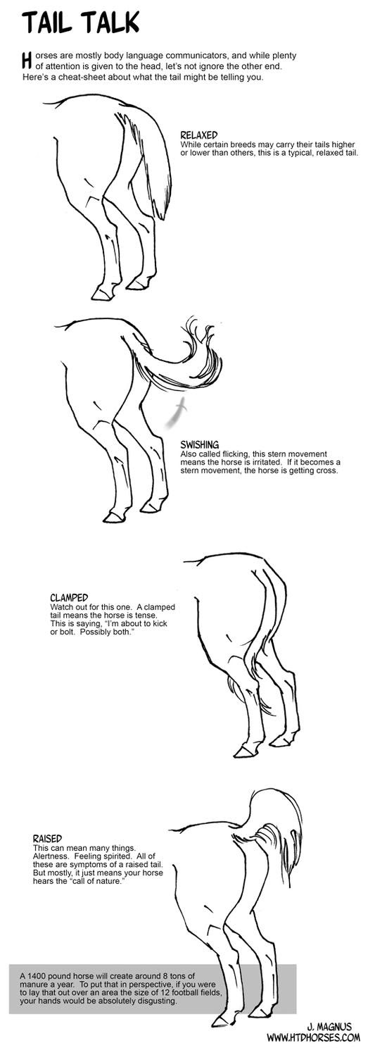 Download Horse Tail Talk by sketcherjak on deviantART