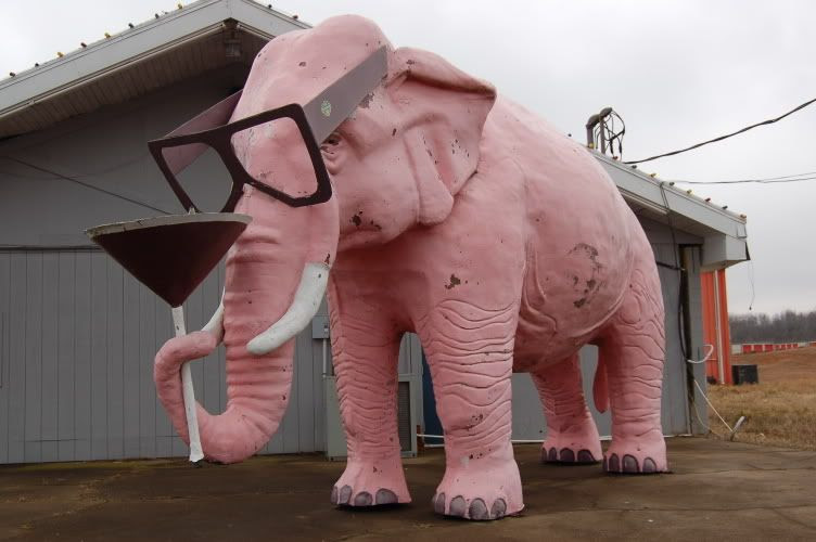 The Pink Elephant