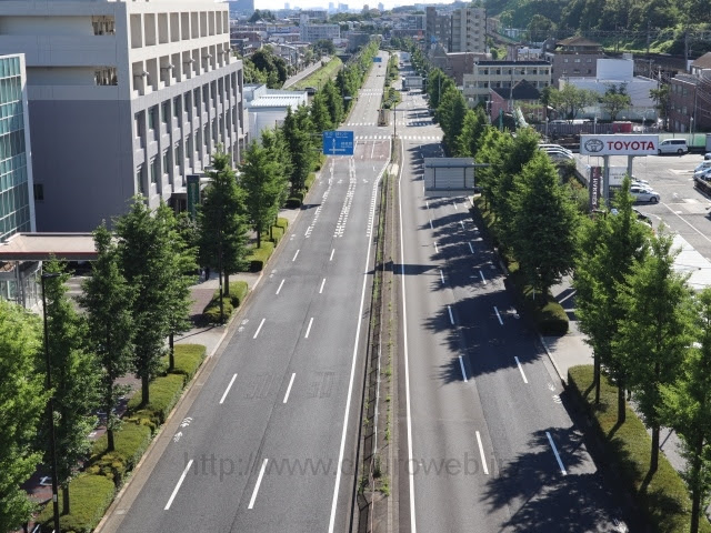 多摩ニュータウン通り 道路web