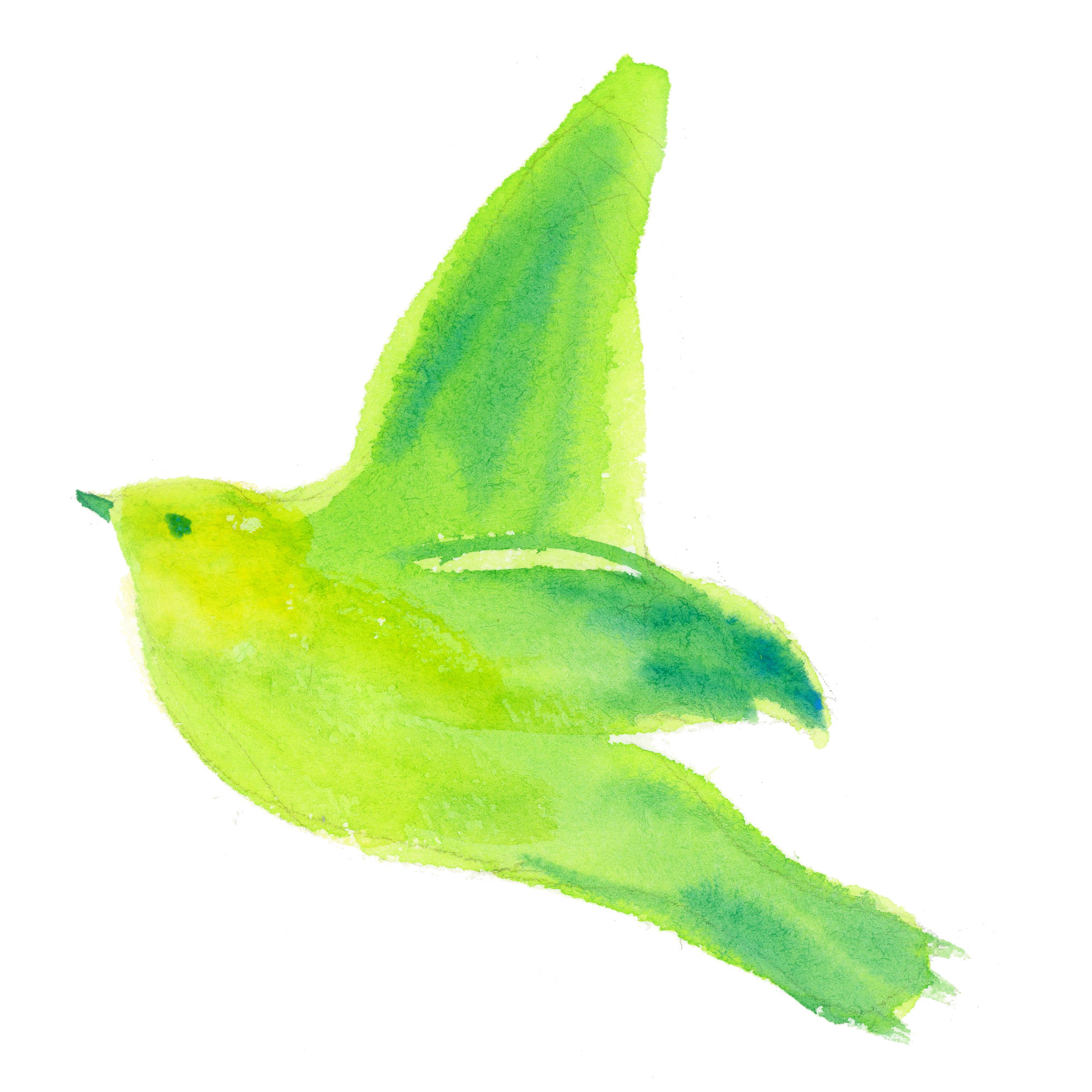 羽ばたいている鳥 Sui Sai 水彩画イラストフリー素材集