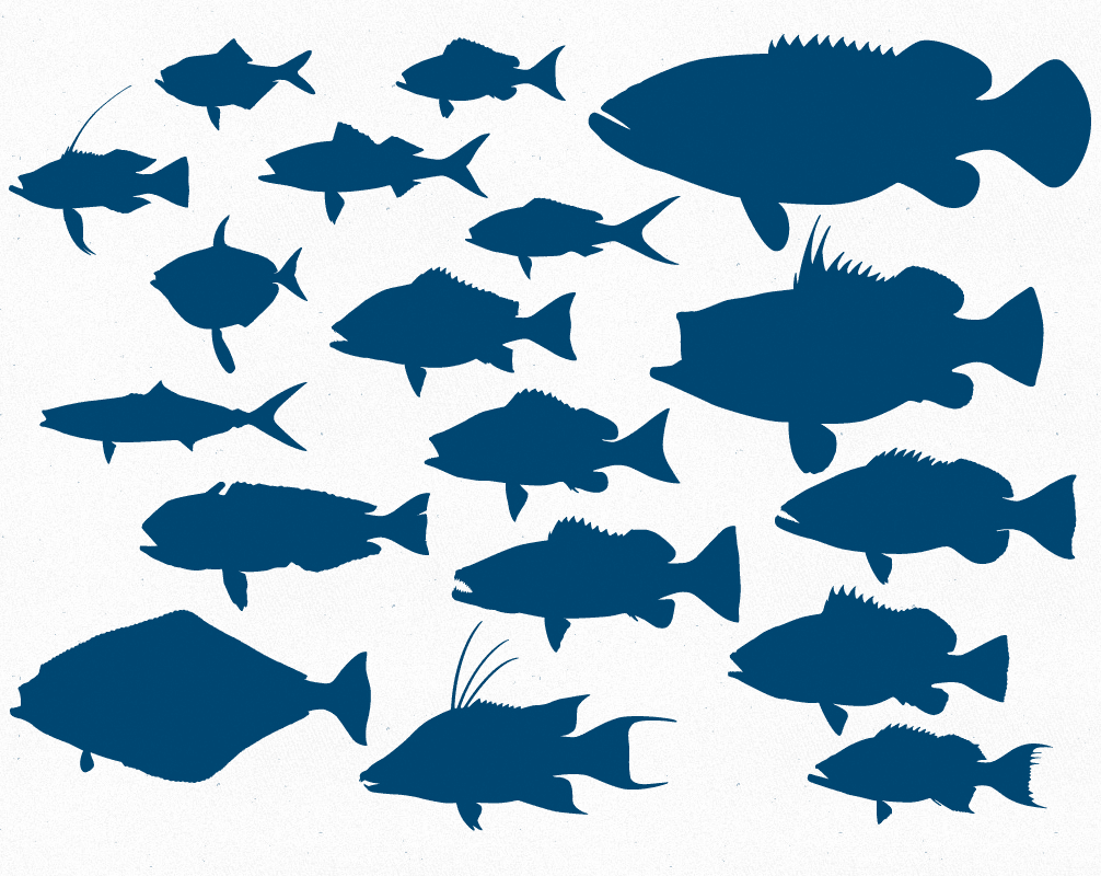 Download Free Fish Silhouette Svg Download Free Fish Silhouette Svg Png Images Free Cliparts On Clipart Library