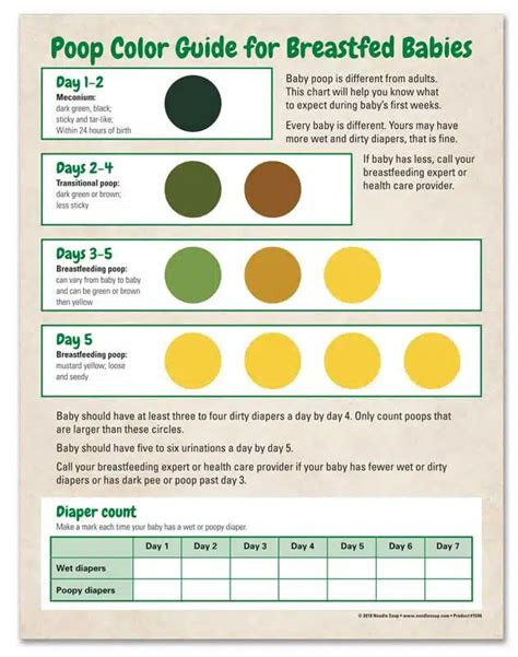  your baby poop color chart explained baby journey newborn care top 10