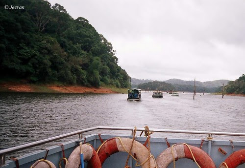 Cruising in Periyar Lake