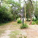Backyard facing Lake