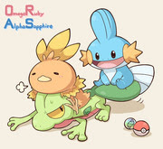 ポケモン アチャモ キモリ ホウエン御三家 14 Pixiv年鑑 B