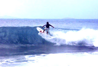 surf | david carson design