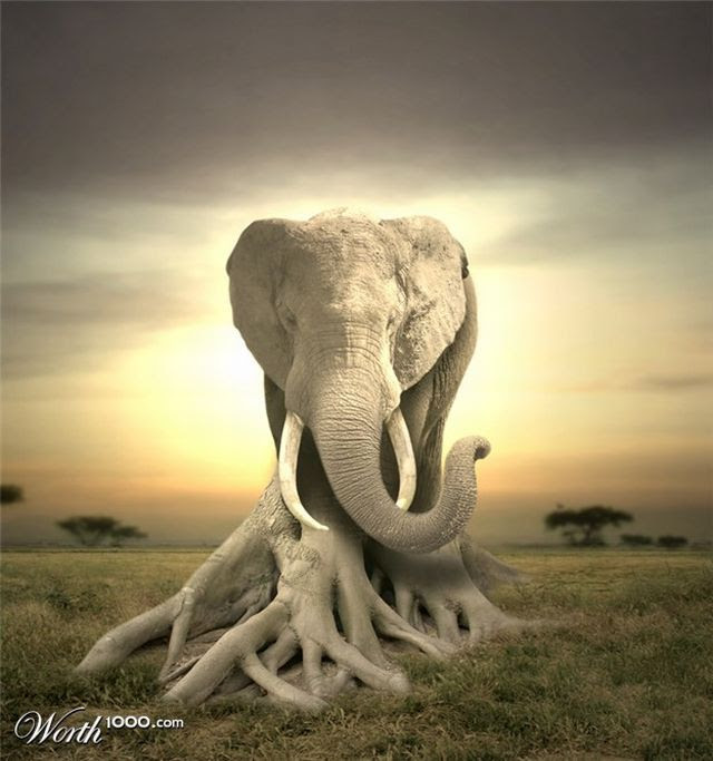 What would happen if you cross an animal with a plant? (60 pics)
