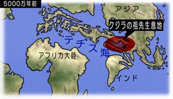 クジラの進化とテチス海 川崎悟司 オフィシャルブログ 古世界の住人 Powered By Ameba