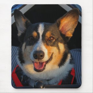 Thank You! Mouse Pads