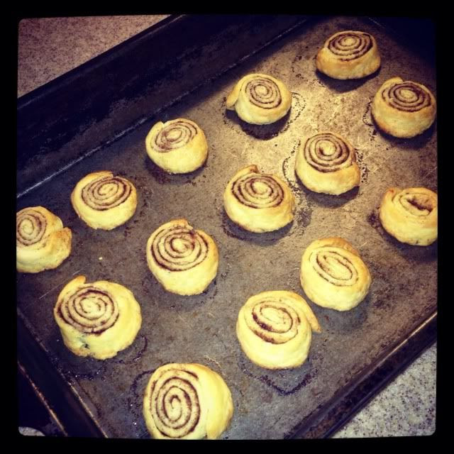 Mini Cinnamon Rolls Homemade Recipe