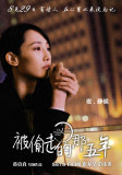 被偷走的那五年（The Stolen Years） poster