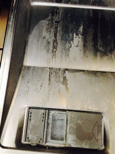 Kitchen encounters you don't have to endure a cold or indust. Cleaning Hard Water Deposits From Bosch Stainless Steel