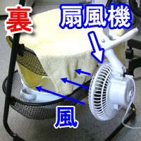 事務所の変なもの