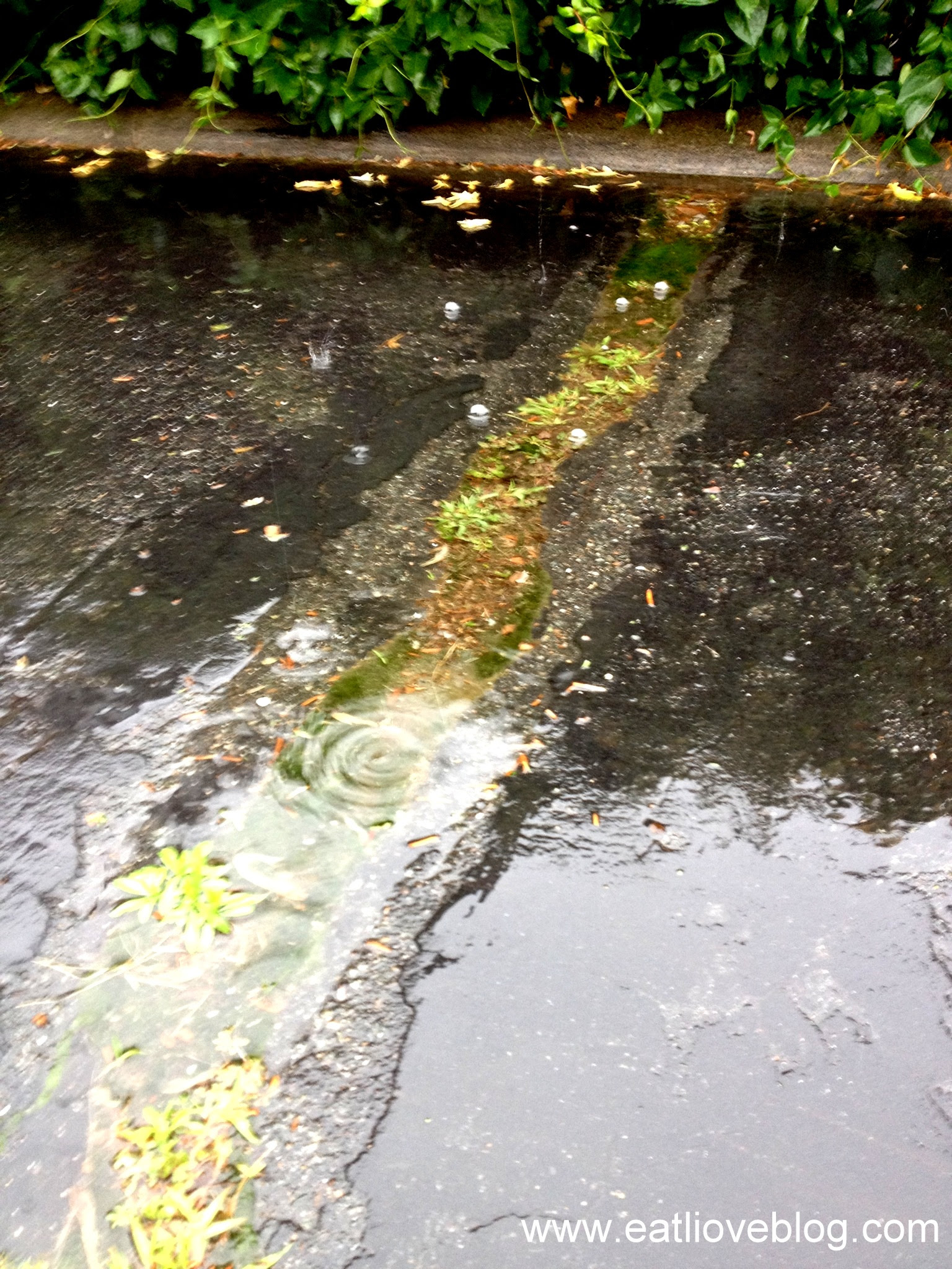 Rainy Day Meal: Baked Chicken Breast, Carrots and Potatoes ...