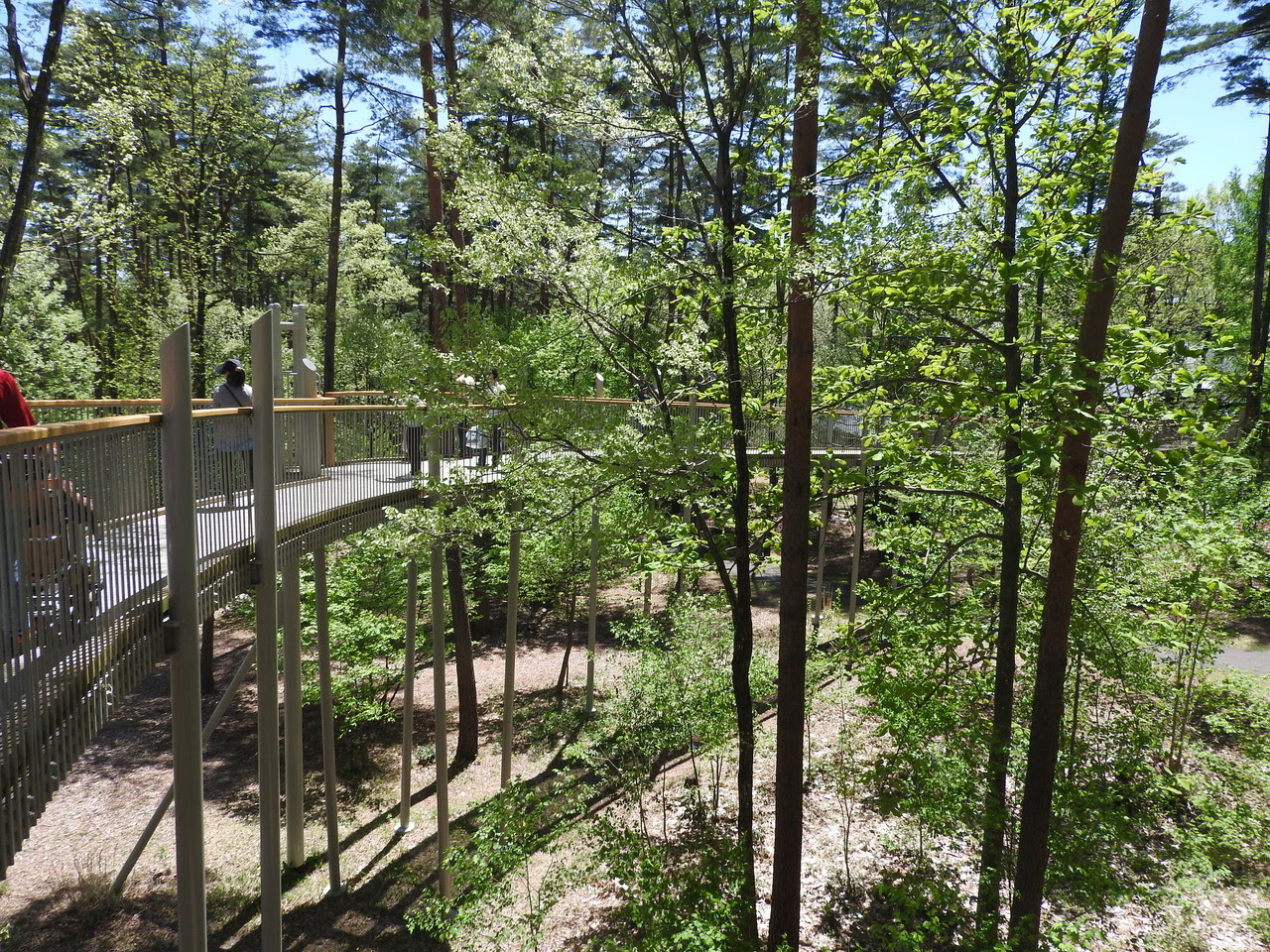 信州 国営アルプスあづみの公園 大町 松川地区 Terrace テラス