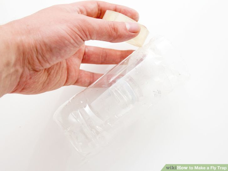 Make a Fly Trap Step 4 Version 3.jpg