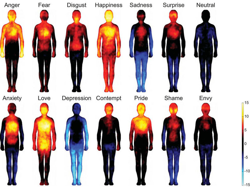 People drew maps of body locations where they feel basic emotions (top row) and more complex ones (bottom row). Hot colors show regions that people say are stimulated during the emotion. Cool colors indicate deactivated areas.