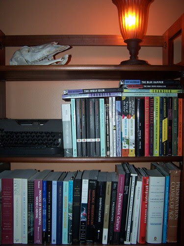 shelf1