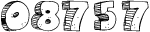 Web Site Hit Counters