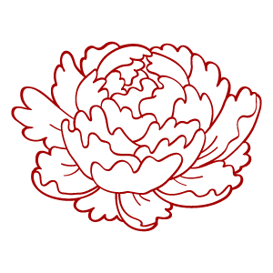 芍薬 花 植物イラスト Flode Illustration フロデイラスト