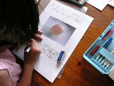 酢と卵の実験の自由研究 まとめが完成 ちびむすブログ