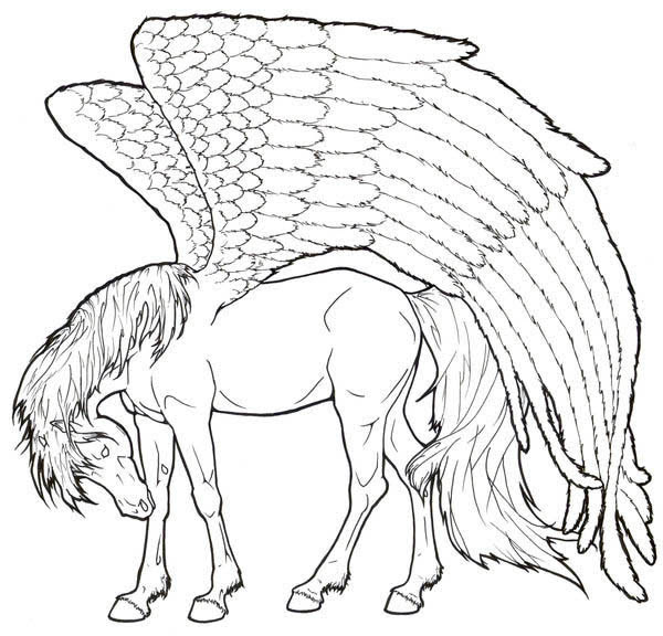 Pegasus Coloring Pages For Adults At Getdrawings Free Download