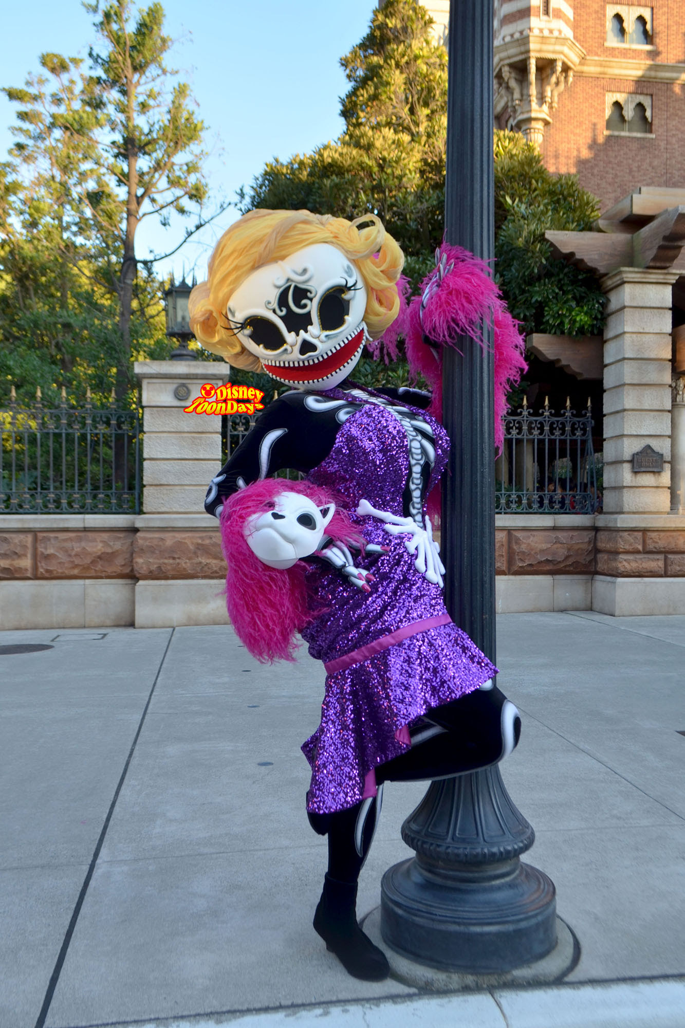 スケルトン ディズニーブログ Toondays