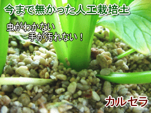 ベランダ 室内用のガーデニング栽培土 カルセラ 土