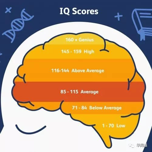 英国网站称 中国人的智商全球第三 力压英美 地球日报
