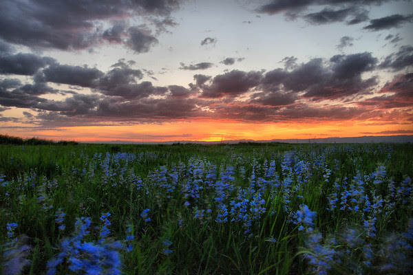 Revere Beach sand sculptures