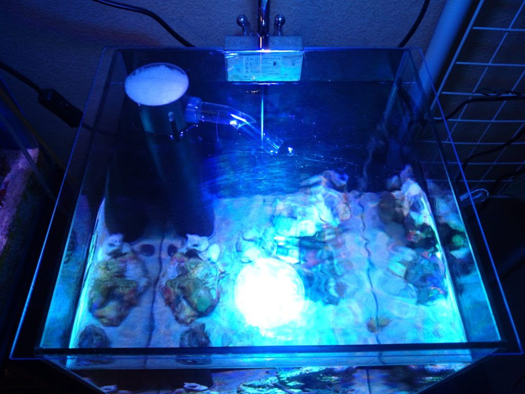 アクリル板で水槽の蓋を作ってみました 30cm水槽の海水魚飼育