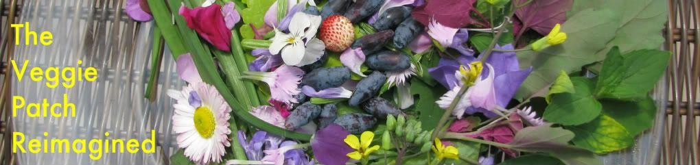 The Veggie Patch Re-imagined