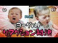 7ヶ月 赤ちゃん ヨーグルト 102937-7ヶ月 赤ちゃん ヨーグルト