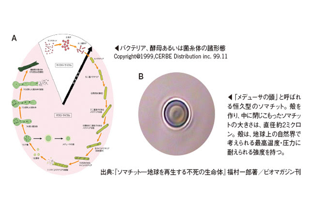 宇宙からやって来た 不思議なミクロ生命体 ソマチット 船瀬図書館