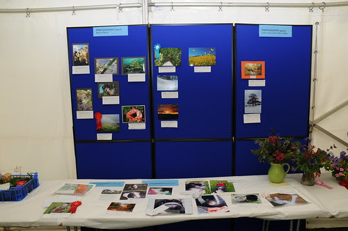 photography competitions