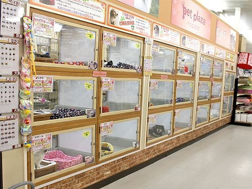 ペットプラザ ノアズアーク門真大橋店