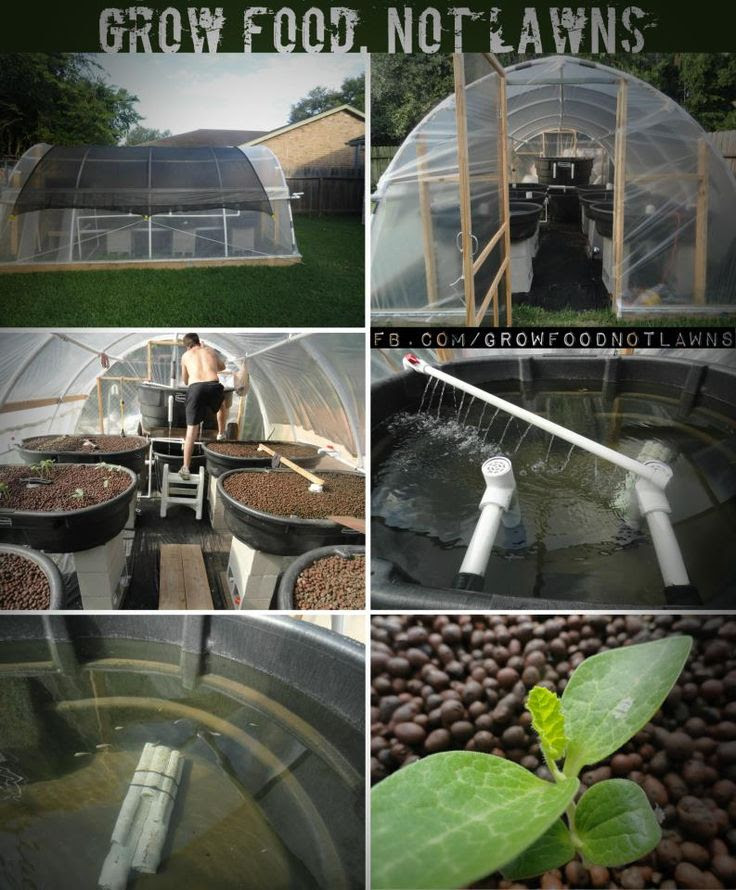 What Is Aquaponics